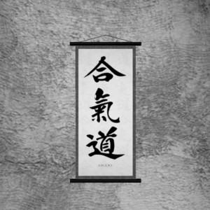 aikido scroll aikido scroll